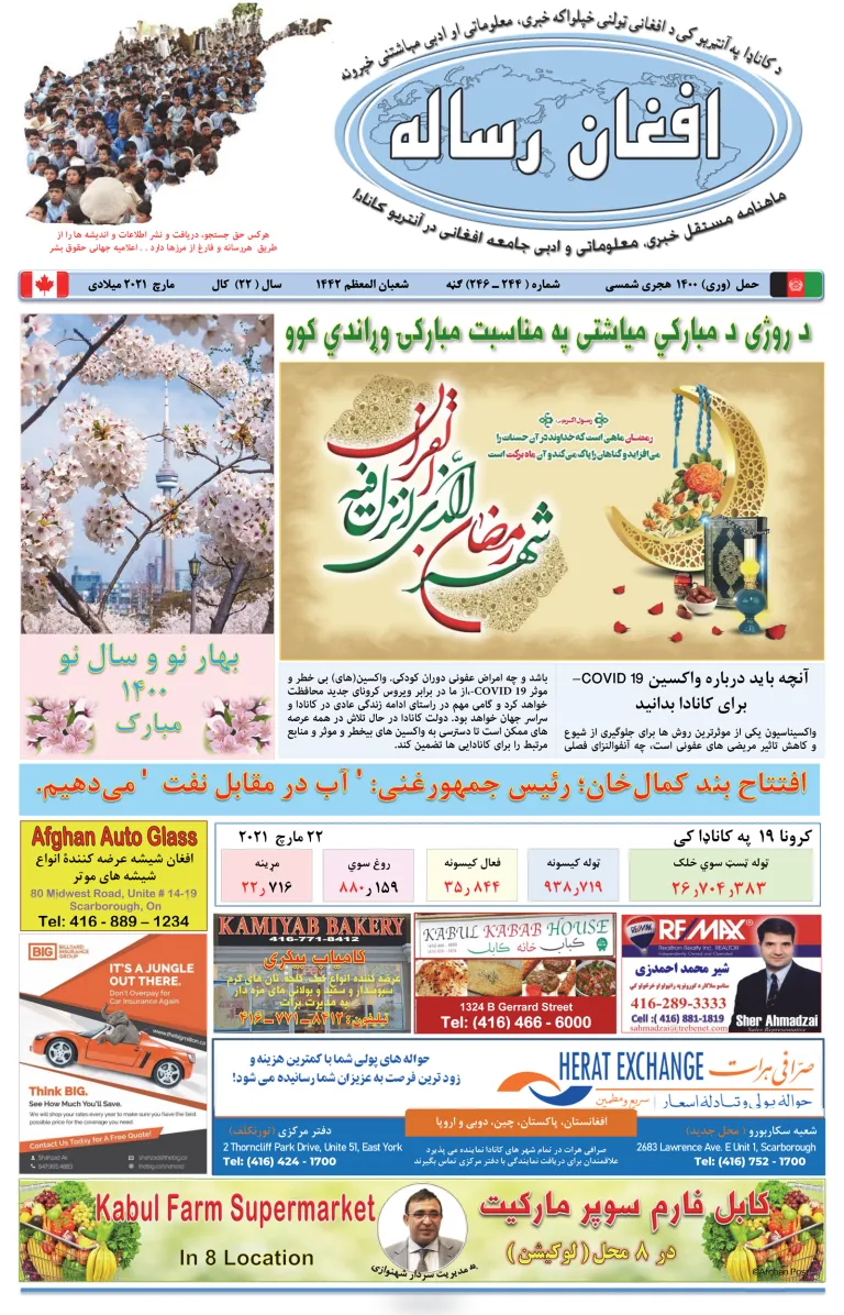 Afghan Post Issue 244-246